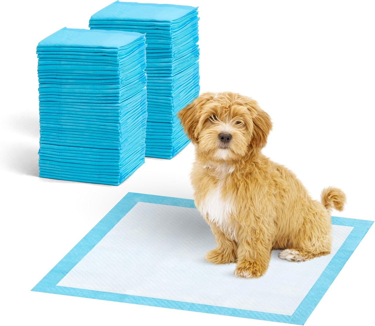 IRIS USA Puppy Pads with Quick-Dry Leak-Proof Design for Potty Training, Regular Size 22x22 Inch, 100 Count